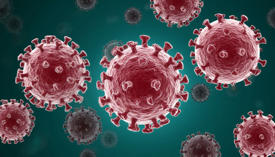 Роспотребнадзор все отрицает. Новых вирусов нет