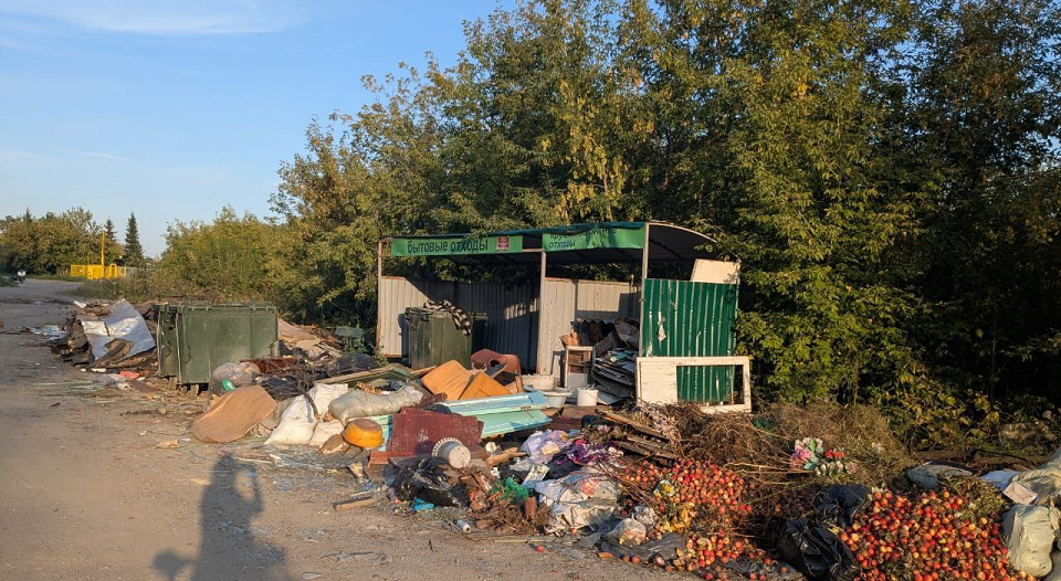 Анну Распопову отдали под суд за мусорный коллапс