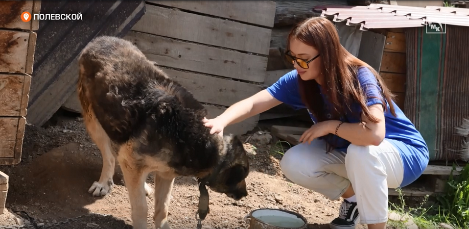 Школьники и волонтеры СТЗ посетили собачий приют