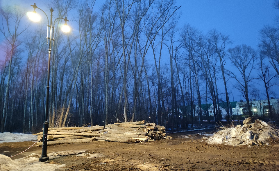 Под топор! В парке за ЦКиНТ начали активно пилить