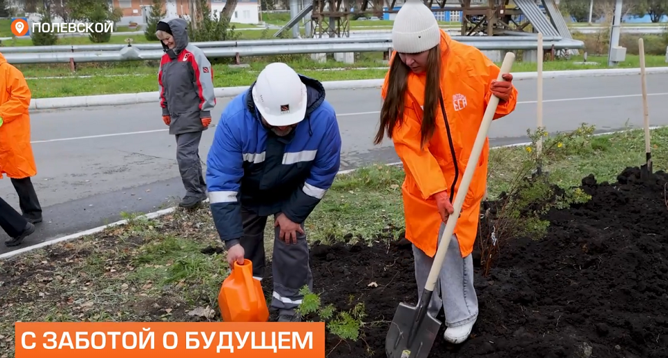 Как это было. Высадка деревьев на СТЗ