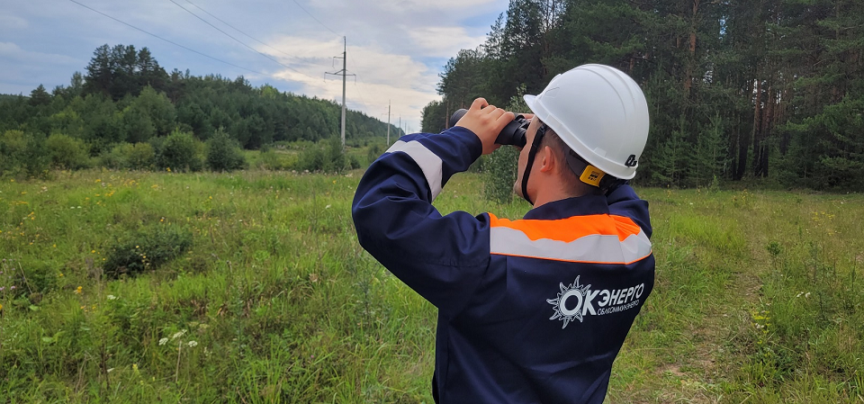 Региональные энергетики готовятся к пожароопасному сезону