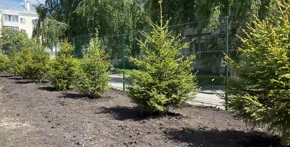 Вокруг ЦРТ им.Н.Е.Бобровой возникнет сад