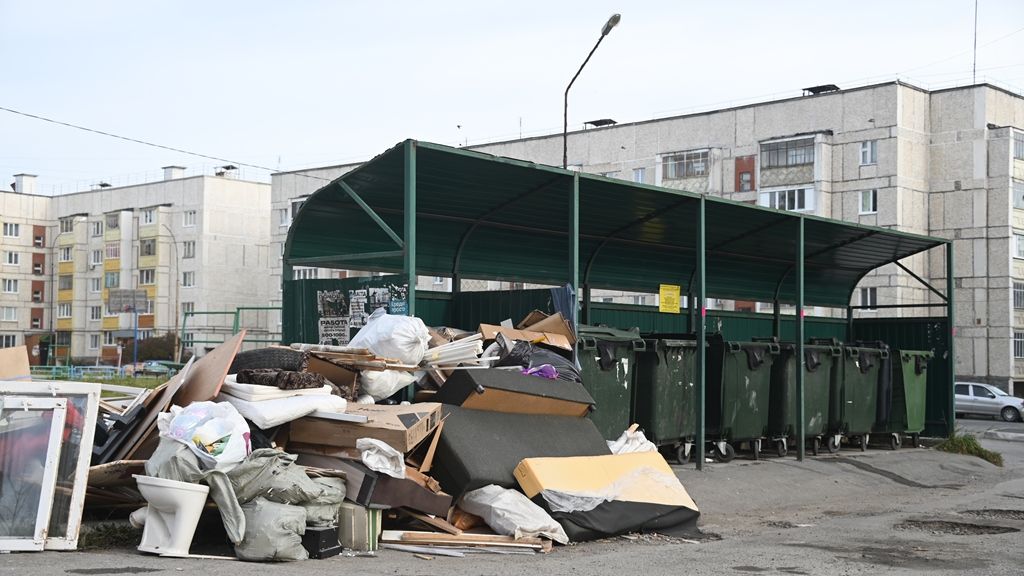 Что делать? Мини-обзор полевских мусорок