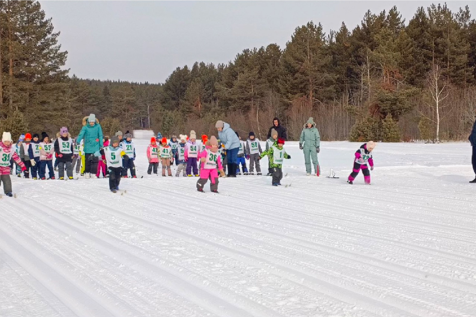 изображение_2025-03-06_141031440.png изображение_2025-03-06_141031440.png