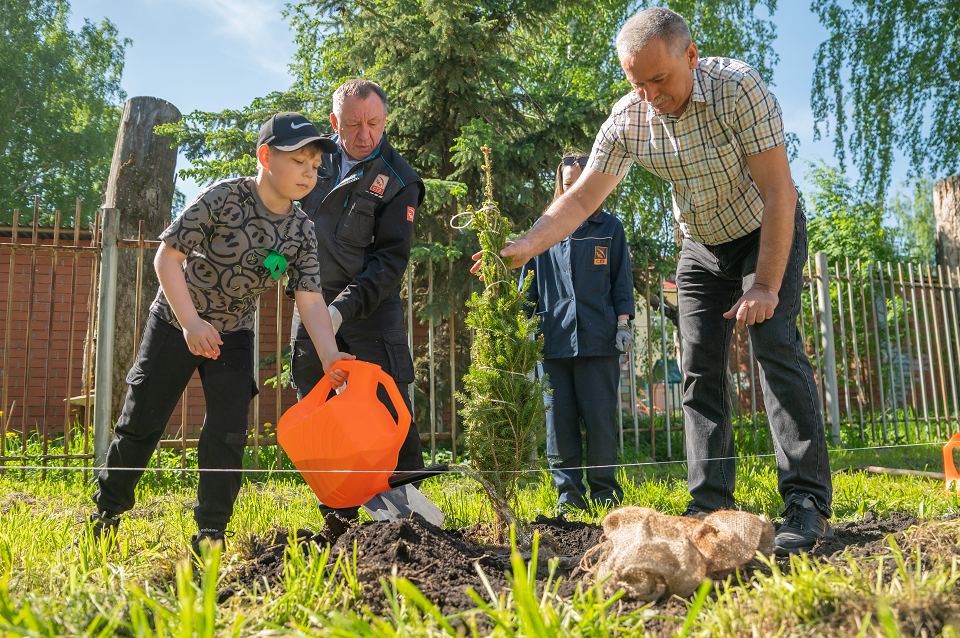 изображение_2025-05-29_191659424.png изображение_2025-05-29_191659424.png