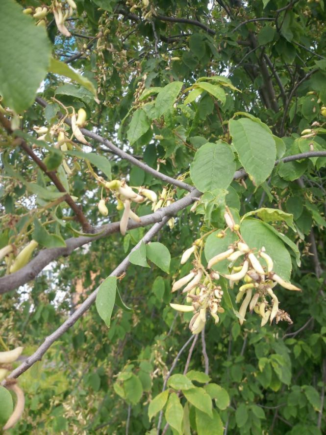 fe0a5332-4815-43dd-b87b-a336eecabdbf.jpg fe0a5332-4815-43dd-b87b-a336eecabdbf.jpg