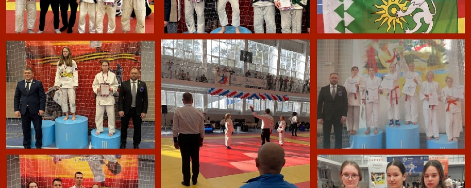 Полевские бойцы джиу-джитсу удачно выступили на всероссийском уровне в сборной области