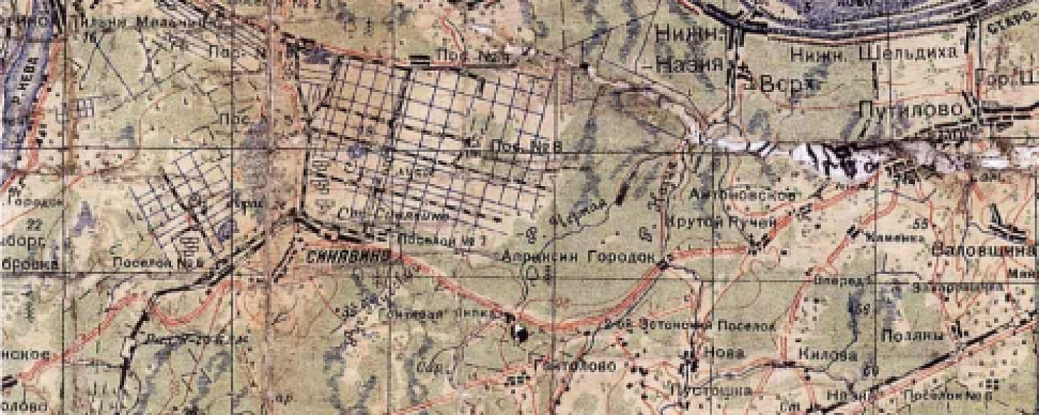 Еще один солдат возвращается домой. Петр Талашманов