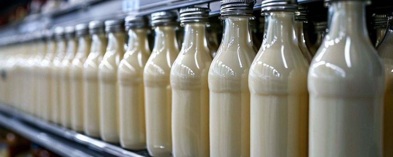 Федеральное ведомство вновь вернуло законопроект о "российской полке" авторам