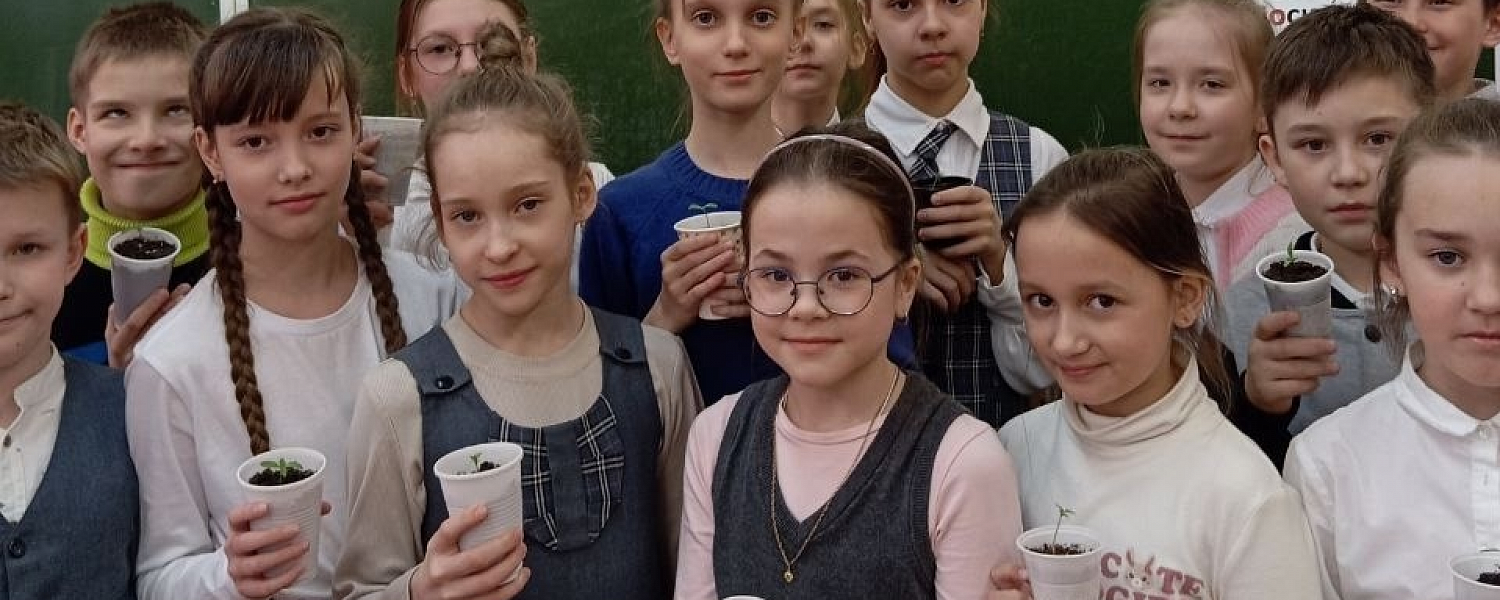 Орлята-лицеисты вырастили бархатцы